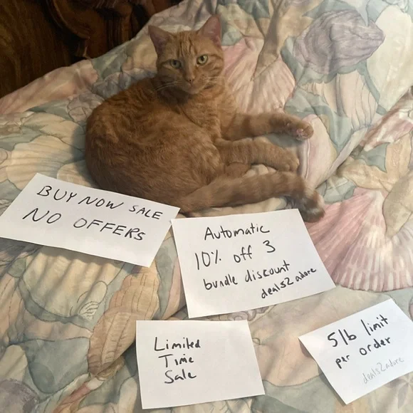 SALE ENDED- Buy Now - No Offers - Automatic 10% off 3 bundle discount - - Picture 9 of 9